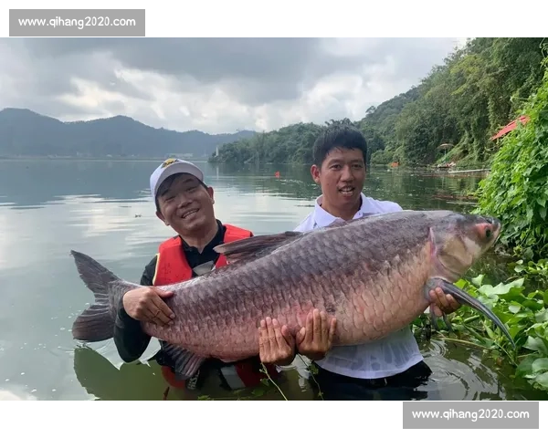 大师云集乐山湖!2025 湖北钓鱼公开赛沙洋启幕 大师云集乐山湖!2025 湖北钓鱼公开赛沙洋启幕